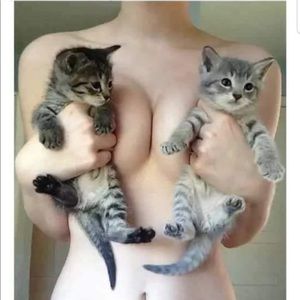 Meet your Posher, Grayson